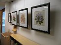3-14-Needleworks-IMG 0240-SM