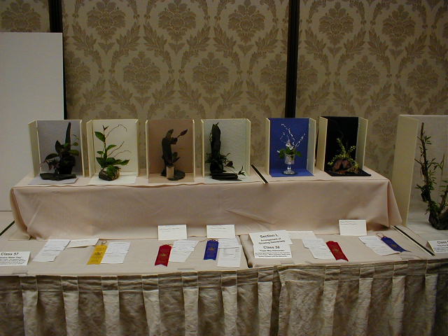 Challenge Class