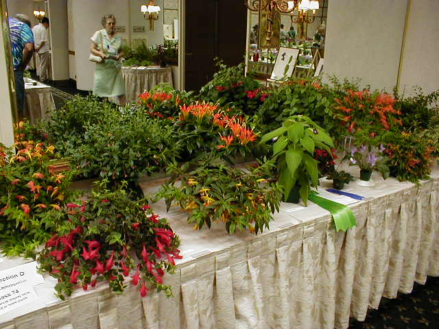 Commercial Exhibit: Lydon Lyon Greenhouses