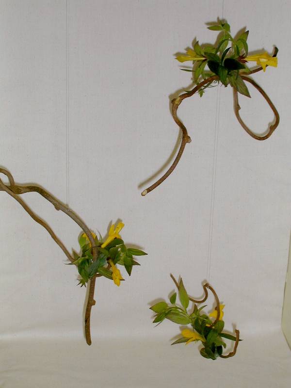DesignGoldfinch