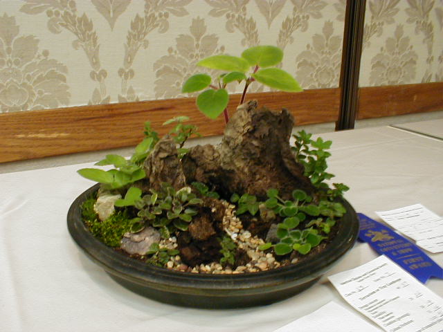 Tray landscape K Cichocki