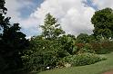 IMG_5665