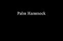PalmHammock