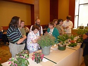 C12-5-2-Two of the judging teams at work