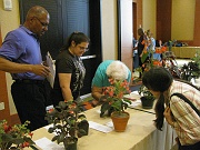 C12-5-3-Judging team at work
