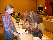 C12-5-4-Judging team at work