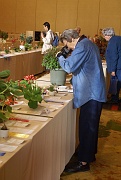 C12-6-2-Jacquie Eisenhut photographing the show
