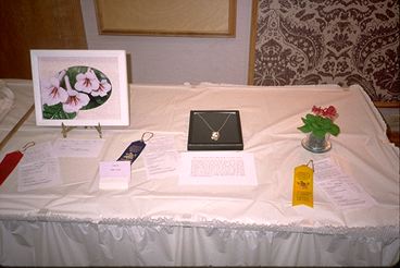 Other Crafts (18956 bytes)