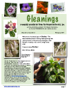 Gleanings January 2011