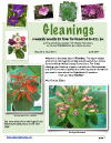 Gleanings January 2011
