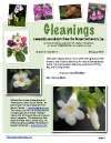 Gleanings January 2011