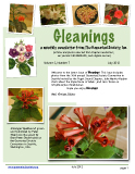 Gleanings January 2011